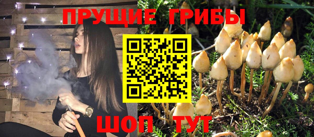 Псилоцибиновые грибы ЛСД  Вход с VPN  Улан-Удэ  магазин продажи   Галлюциногенные грибы GOLDEN TEACHER 